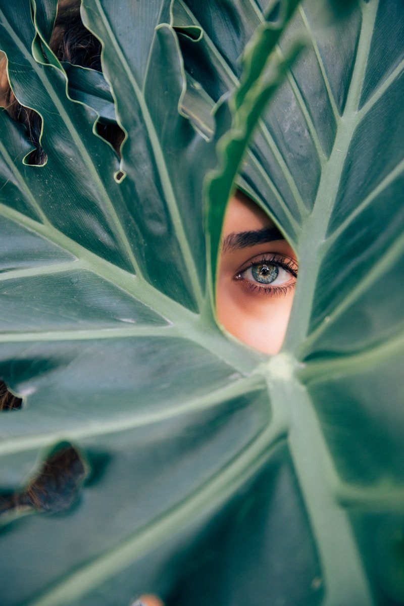 Photo by Drew Dizzy Graham Contactar con Almudena Valcas woman peeking over green leaf plant taken at daytime